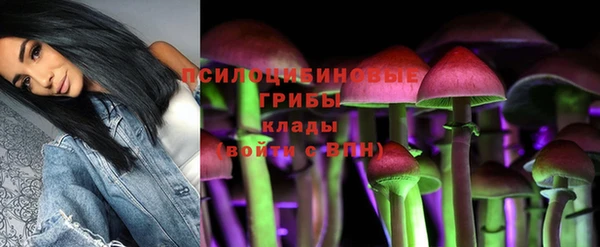 соль ск Верхнеуральск