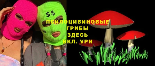 тгк Володарск