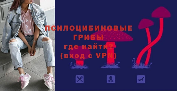 тгк Володарск