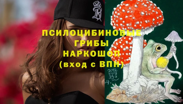 соль ск Верхнеуральск