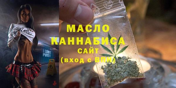 дмт Снежногорск